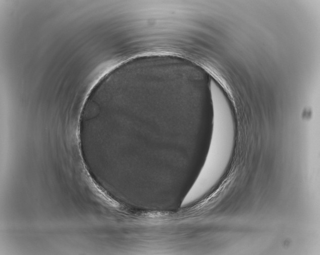 X0000093750797200711131124