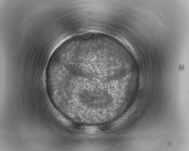 X0000093750798200711131124