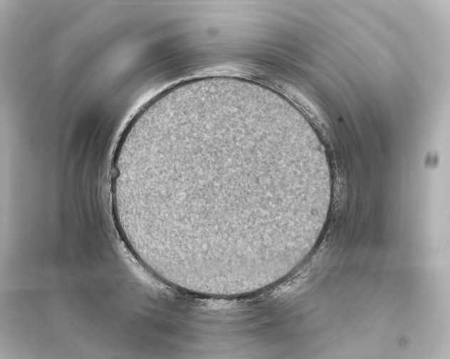 X0000093750800200711131124