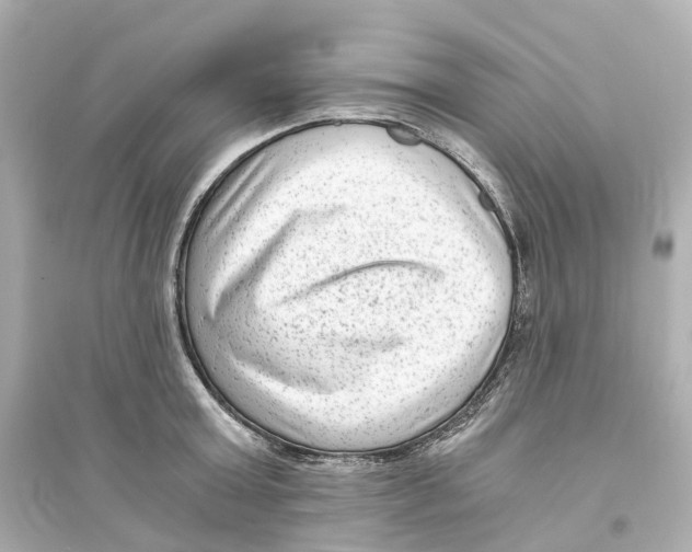 X0000093750803200711131124