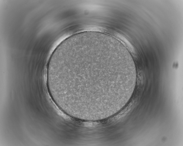 X0000093750804200711131124