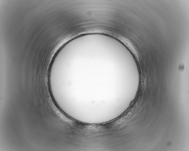 X0000093750805200711131124