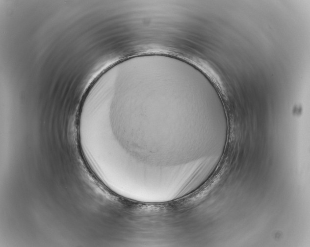 X0000093750806200711131124