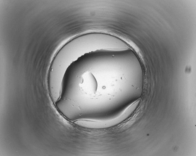 X0000093750807200711131124