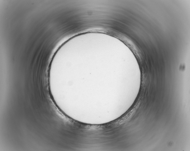 X0000093750808200711131124