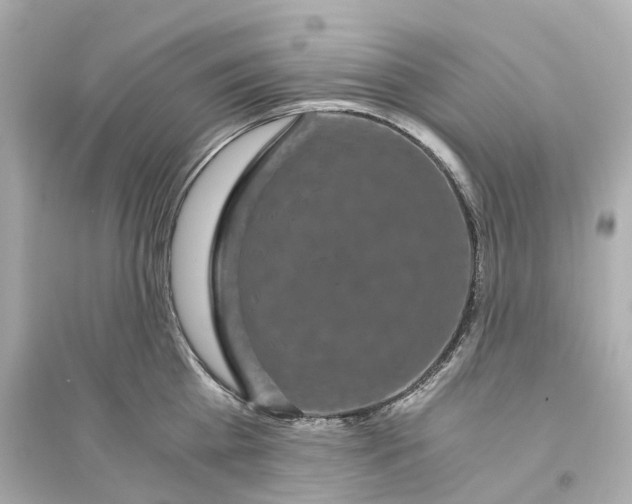 X0000093750809200711131124