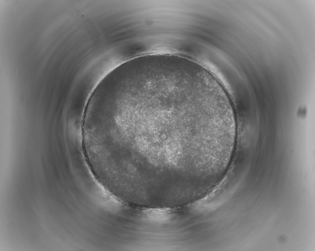 X0000093750810200711131124