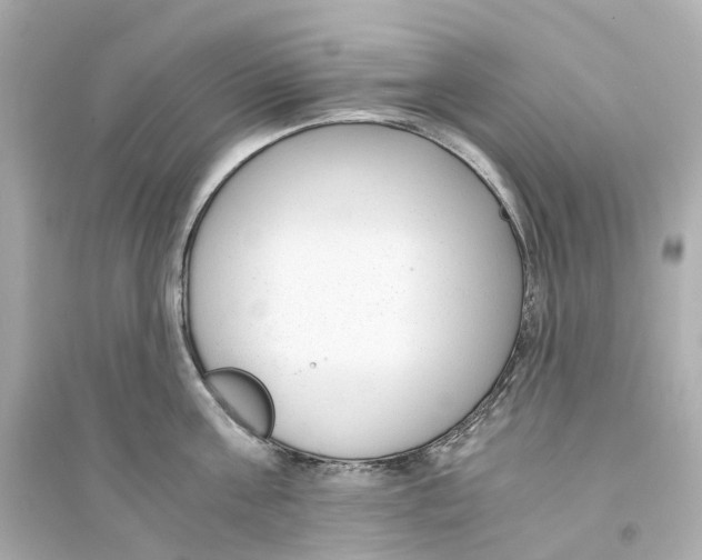 X0000093750811200711131124