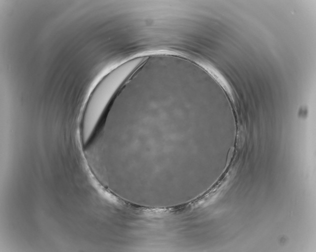 X0000093750813200711131124