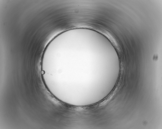 X0000093750814200711131124