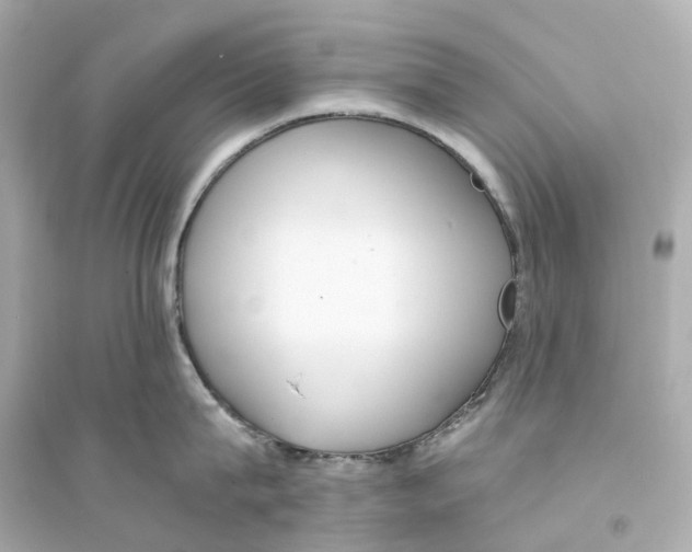 X0000093750815200711131124