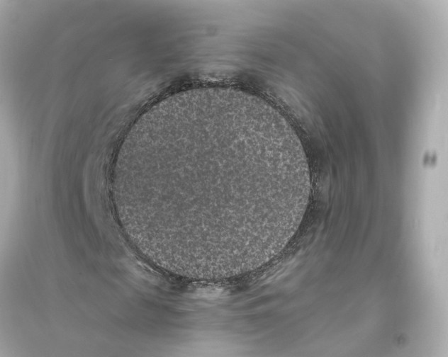 X0000093750817200711131123