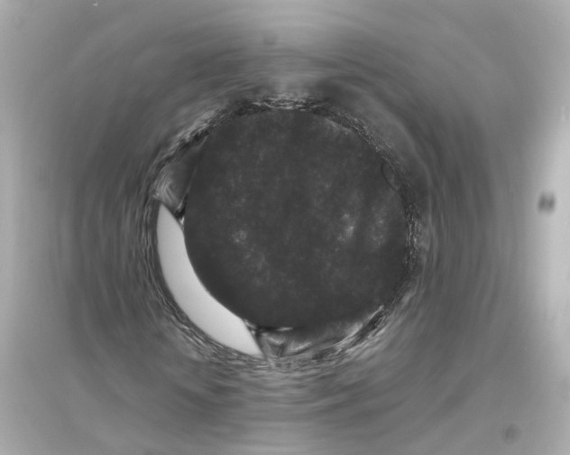 X0000093750818200711131123