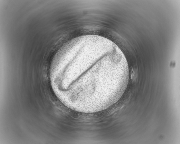 X0000093750819200711131123