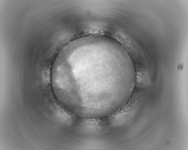 X0000093750820200711131123