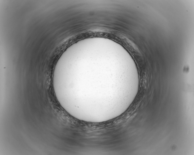 X0000093750821200711131123