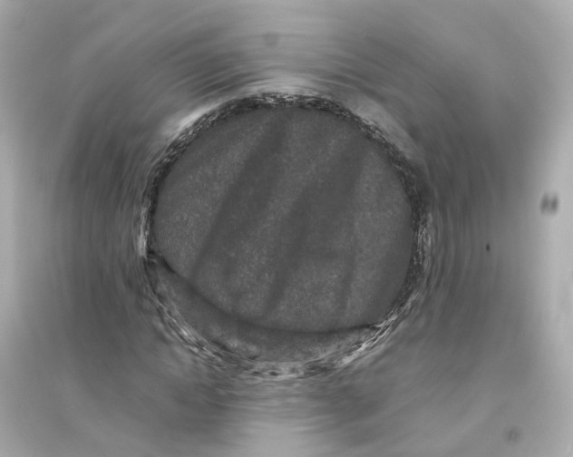 X0000093750822200711131123