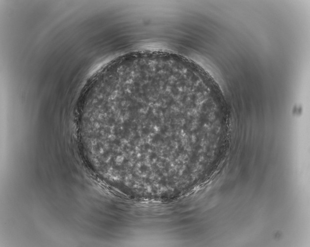 X0000093750823200711131123