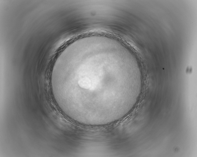 X0000093750824200711131123