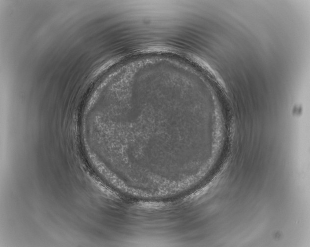 X0000093750825200711131123