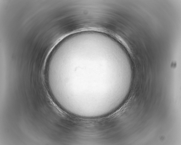 X0000093750828200711131123