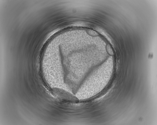 X0000093750829200711131123