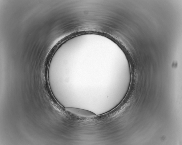 X0000093750830200711131123