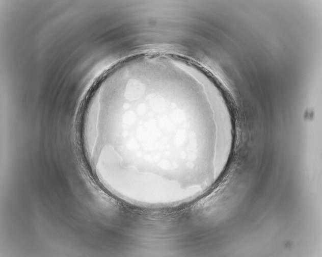 X0000093750832200711131123