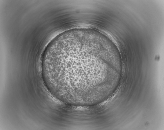 X0000093750835200711131123