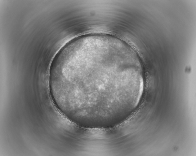 X0000093750836200711131123