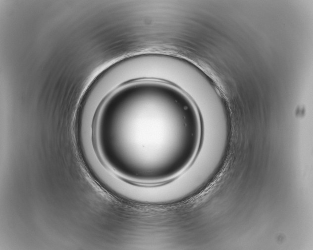 X0000093750838200711131123