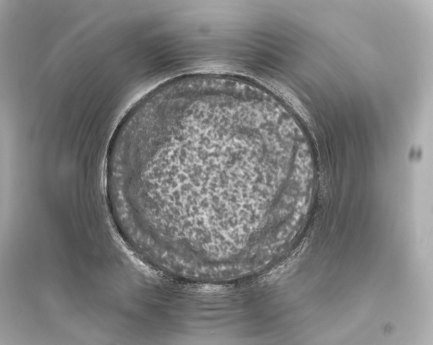 X0000093750839200711131123