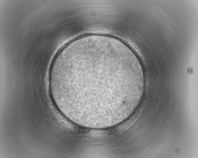 X0000093750840200711131123