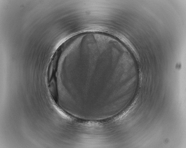 X0000093750842200711131123