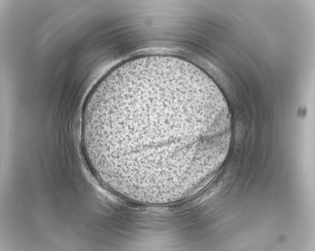 X0000093750844200711131123