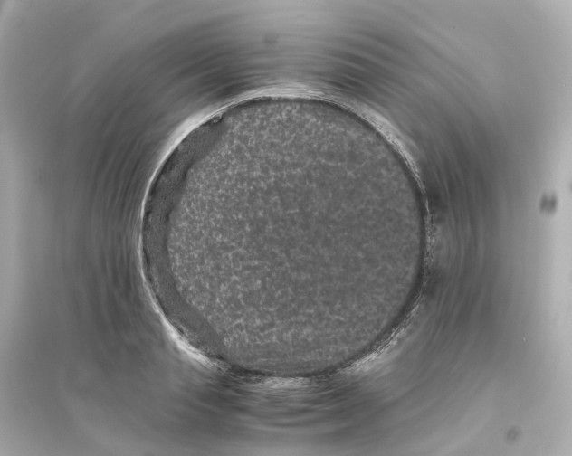 X0000093750845200711131123