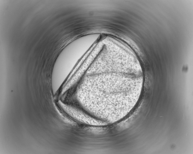 X0000093750849200711131124