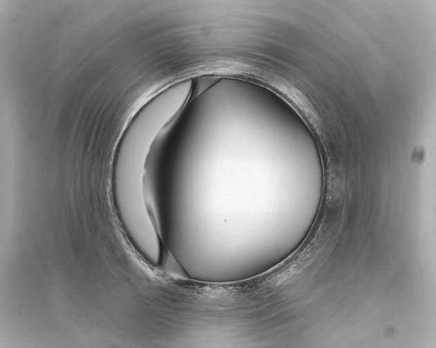 X0000093750850200711131124