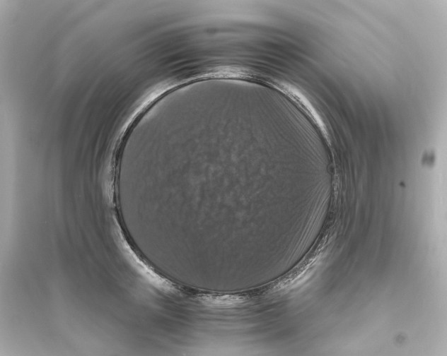 X0000093750851200711131124