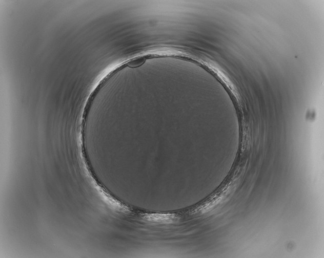 X0000093750853200711131124