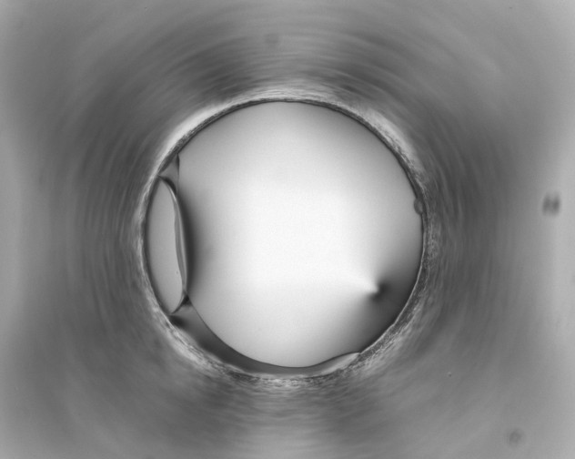 X0000093750854200711131124