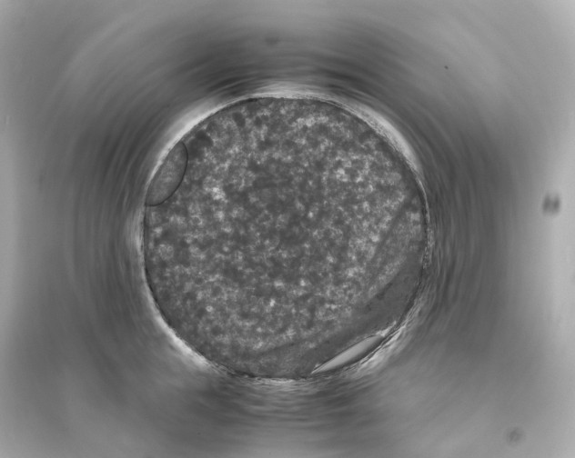 X0000093750855200711131124