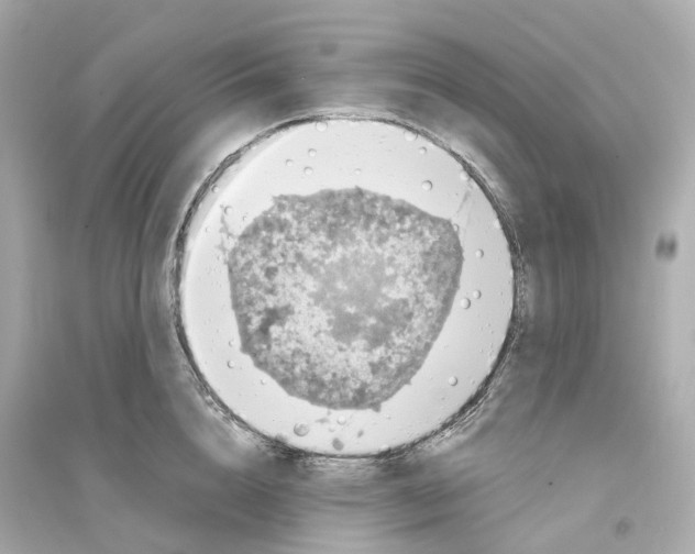 X0000093750856200711131124