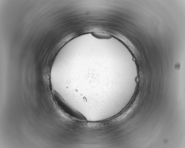 X0000093750857200711131124