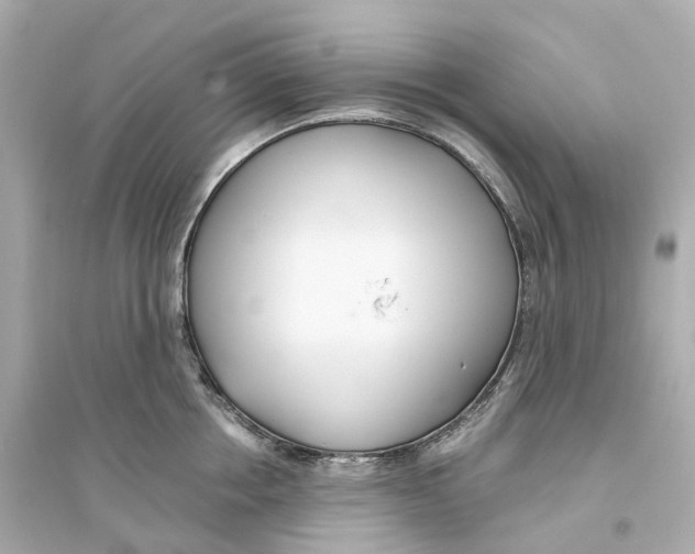 X0000093750858200711131124