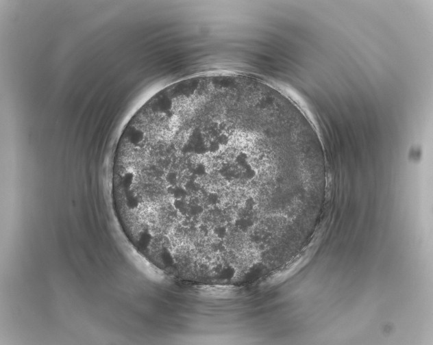 X0000093750859200711131124