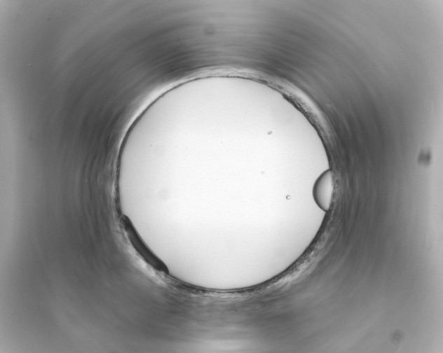 X0000093750860200711131124