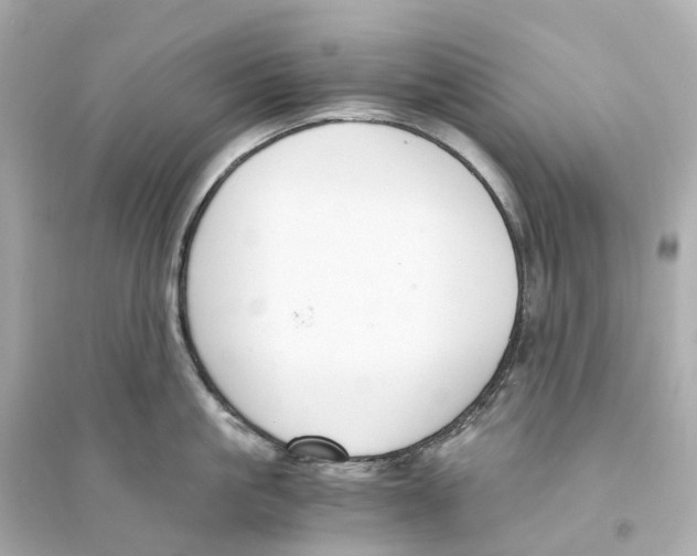 X0000093750861200711131124