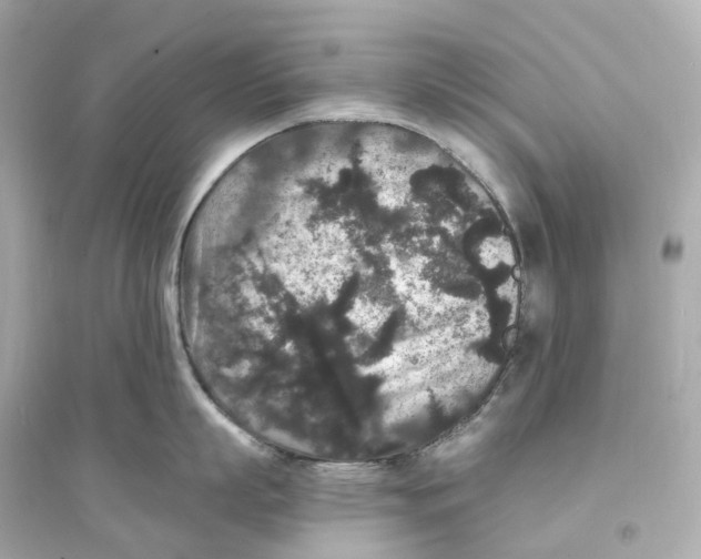 X0000093750863200711131124