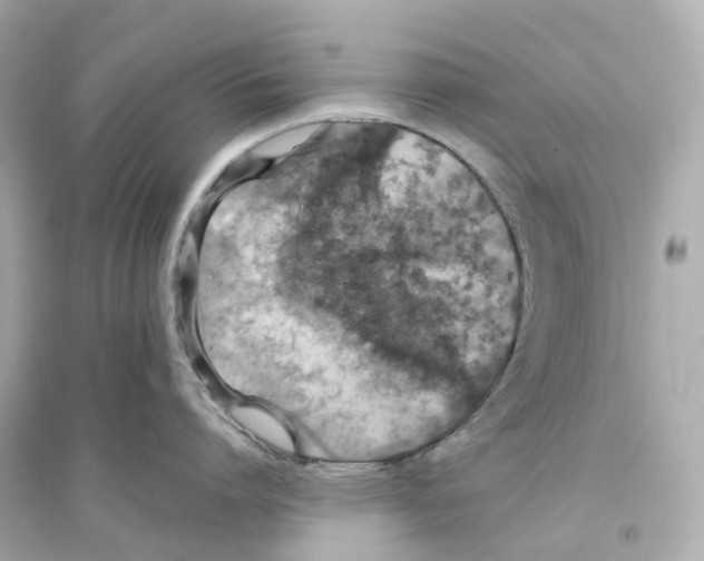 X0000093750864200711131124